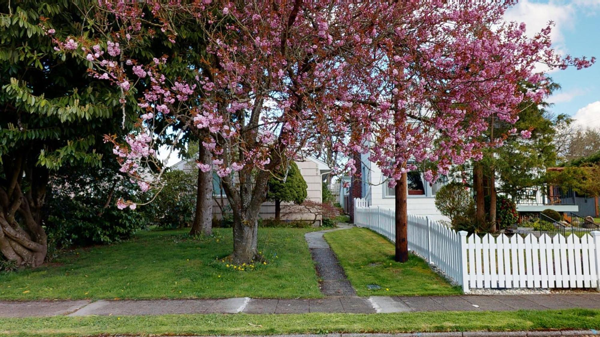 Apartment Emily's Escape Ac Smart Tv And Covered Parking Snohomish